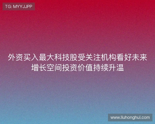 外资买入最大科技股受关注机构看好未来增长空间投资价值持续升温 外资买入最大科技股受关注机构看好未来增长空间投资价值持续升温